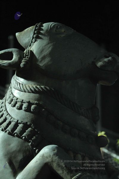 File:20140908 Photo 1051 15ypxNG7GB-WvcHQVQtEwRDpAPtAiNnTV.JPG