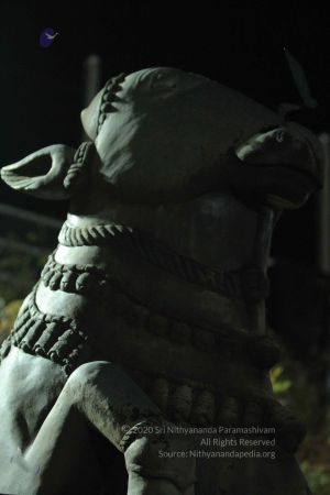 20140908 Photo 1052 1XSnTRtRYK5Y27PvSa5FI1-uFHg6g-cxN.JPG