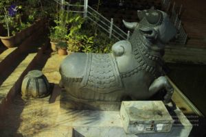 20140908 Photo 1054 1NcQJ5axcNQ TgQzu5iWjiBQRSs4BblRr.JPG