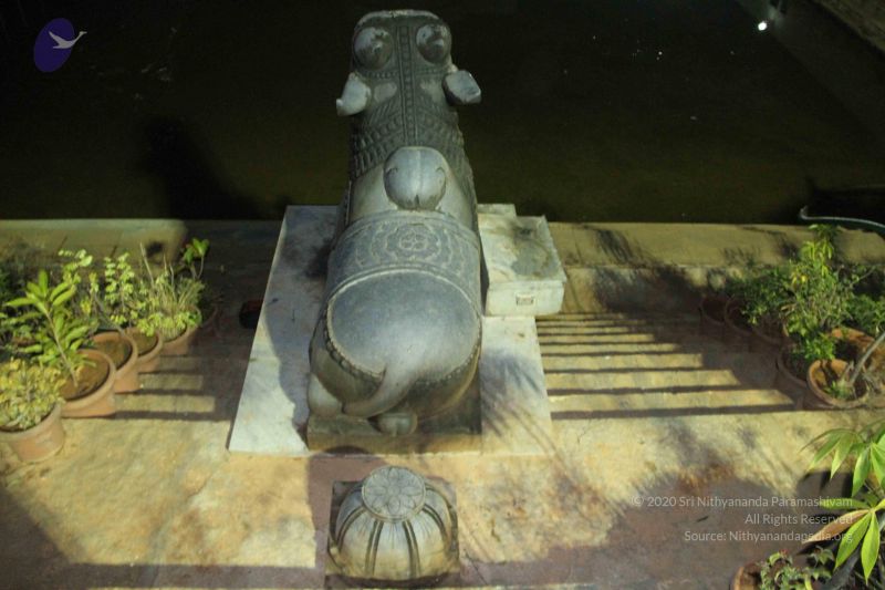 File:20140908 Photo 1056 11V RHvsZq-9p4n3XGzyDLtkqbl6rG7QN.JPG