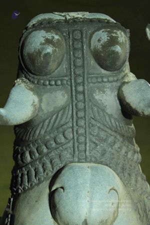 20140908 Photo 1059 1uqGwCvZ 72pjGpvRJV7CVANhxoDqFHtX.JPG