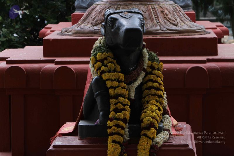 File:20140910 Photo 1000 1050STwjFi1l6tsItJ3oxnaLO-IDwCBVL.JPG