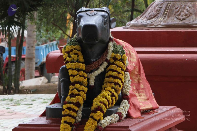 File:20140910 Photo 1002 1ad6WAkPLjr-jH5d4T5JMqRI-5nmdLn70.JPG