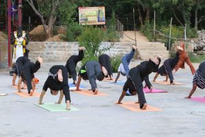 20140910 Photo 1003 1ZCOE-HwbQlRPnPcKh5B13mFwk-Kqx30x.JPG