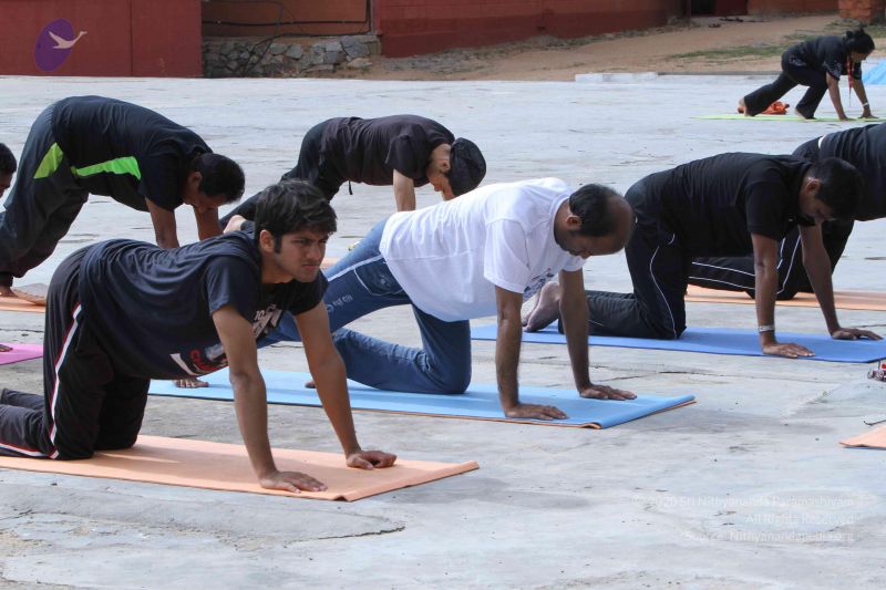 File:20140910 Photo 1012 1NdyQx91Byky2t1D4KmhemmsJEQn-tST8.JPG