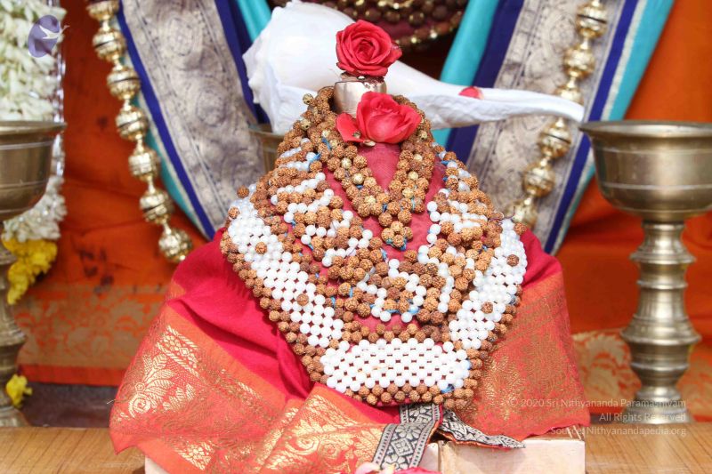 File:20140910 Photo 1026 1VipGrtURSc6JIVYjlAHTlZiMDRa6ATYH.JPG