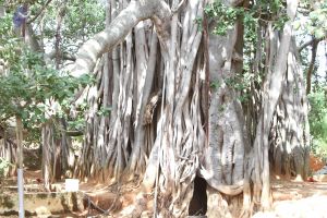 20140910 Photo 1044 1PT Bb6xZu-qZfTAWcIsc7UK5EQ Y3G5W.JPG