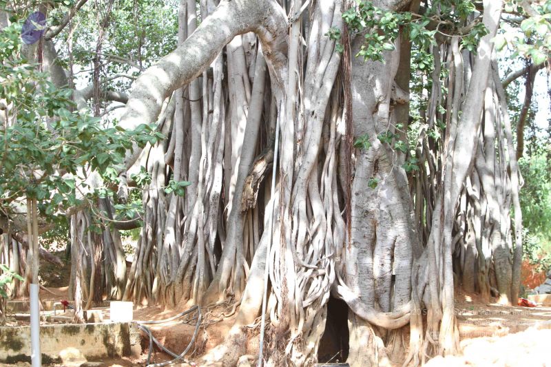 File:20140910 Photo 1044 1PT Bb6xZu-qZfTAWcIsc7UK5EQ Y3G5W.JPG