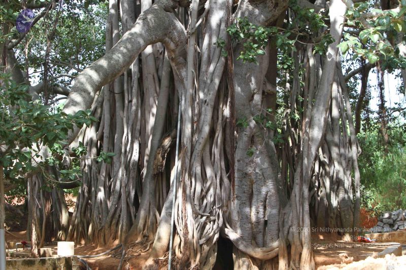 File:20140910 Photo 1045 1gDRt-lYpRsxtCFrFdc2oDCU qf80lb2q.JPG