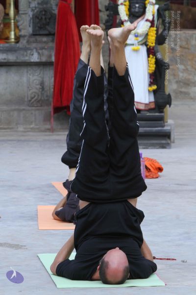 File:20140910 Photo 1053 1gJymgNU8VNpiXfyTudhLjxGAZ1gkCp V.JPG