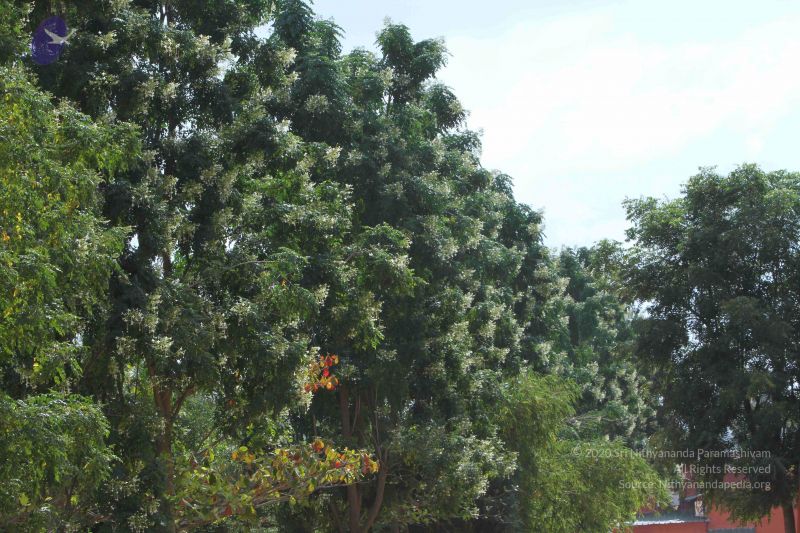 File:20140910 Photo 1058 1 It7ZkApKkAcykN6-biKvVXCjO myVJm.JPG