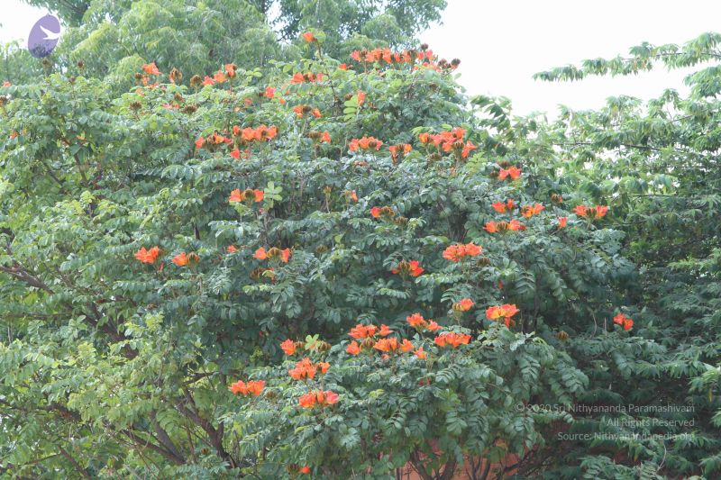 File:20140910 Photo 1062 1whdE3r9iylcmGY1WPAcMJEe8Pqw4y5vD.JPG