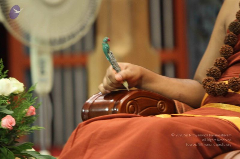 File:20140910 Photo 1089 1eQlDMEnbAHuGkC57DstXgjDXea Y6ZoM.JPG