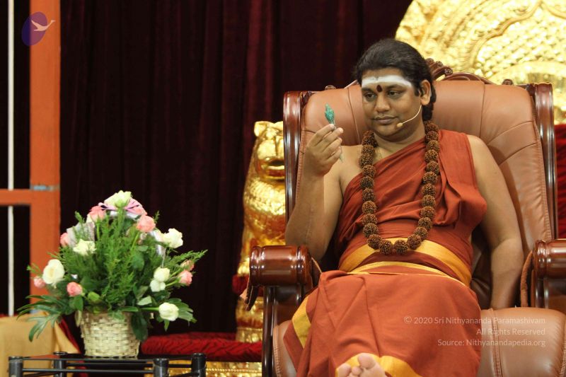 File:20140910 Photo 1093 1uyFteR18zNp9Gk8dl tBJqBYqEnFeQcp.JPG