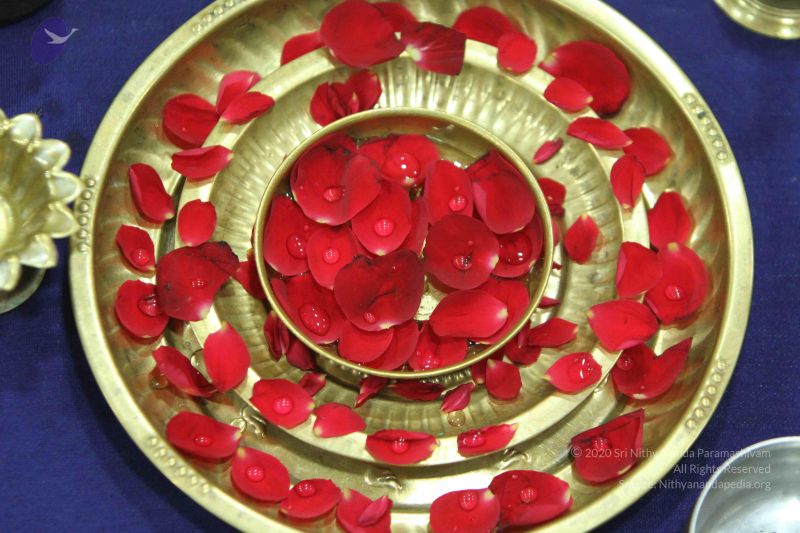 File:20140910 Photo 1125 11BII7xWbRsEFchgLp6v0HzRbLFWV pNs.JPG