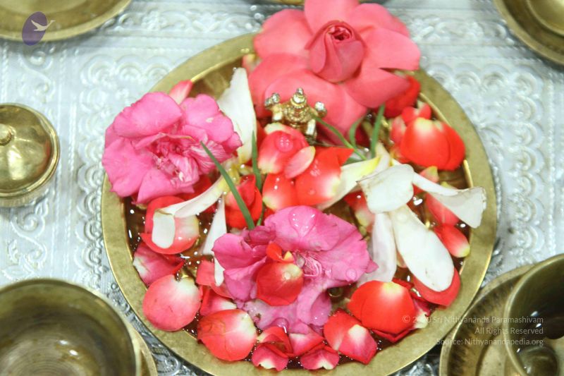 File:20140910 Photo 1132 1 rN3Yxe8BgeYhVRDXV-AfqgDD CXfjdY.JPG