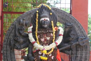 20140910 Photo 1148 1DVoY6YTm8K1I7MnlZz2teqnc5Q51WCBw.JPG