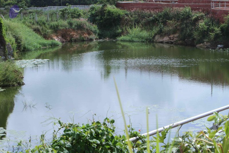 File:20140910 Photo 1155 1TR2P5KY6RbSkQVKGPA25Fr0cF3Bu6fQ3.JPG