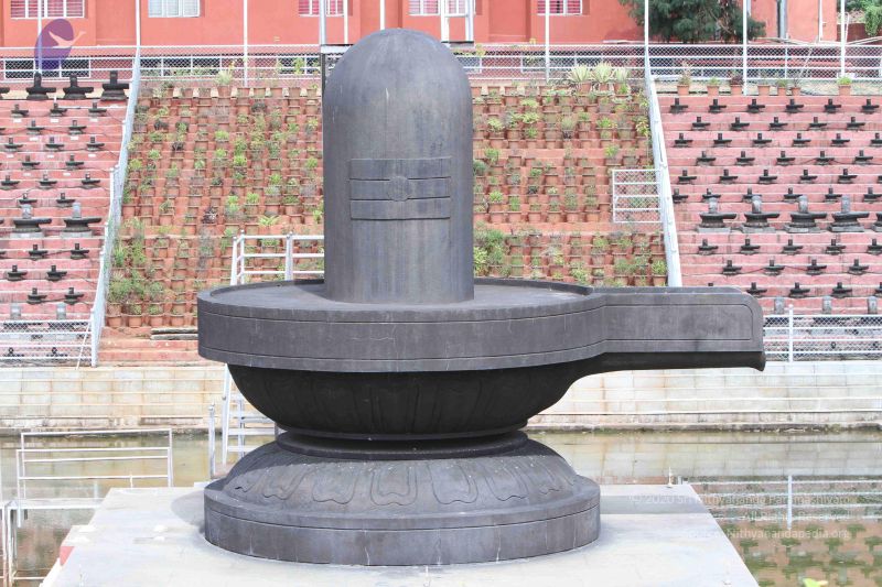 File:20140910 Photo 1157 1Fe7dwlTRjMzjx85buZtmsDuK8KrVwAhN.JPG