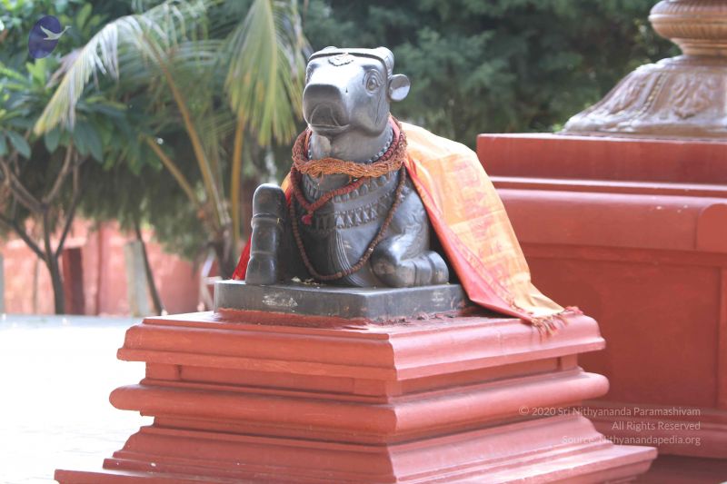 File:20140911 Photo 1032 1MCoJ8pwxqMDcGZCEbSCJjta81yBVdB1q.JPG