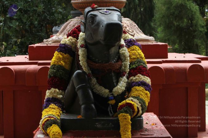 20140913 Photo 1046 1wCVcWhoRGNhaIjlTmvVRRDaoW2qj-ABf.JPG