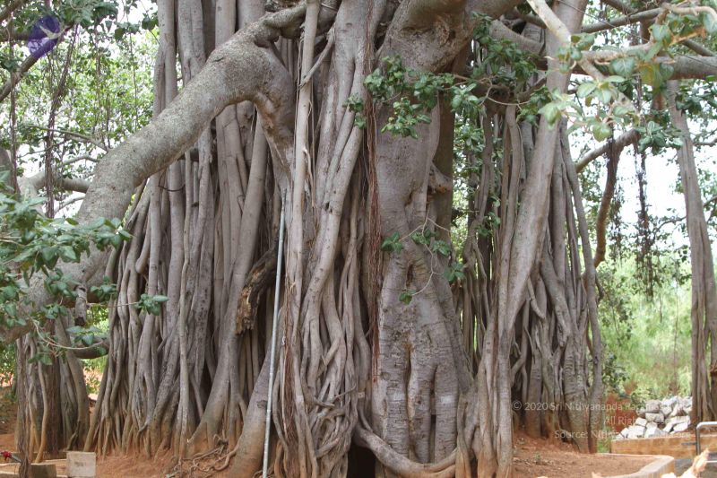 File:20140913 Photo 1065 1DF36zGSyge-Flpm0e1DxqlXkTpP3Qp2P.JPG