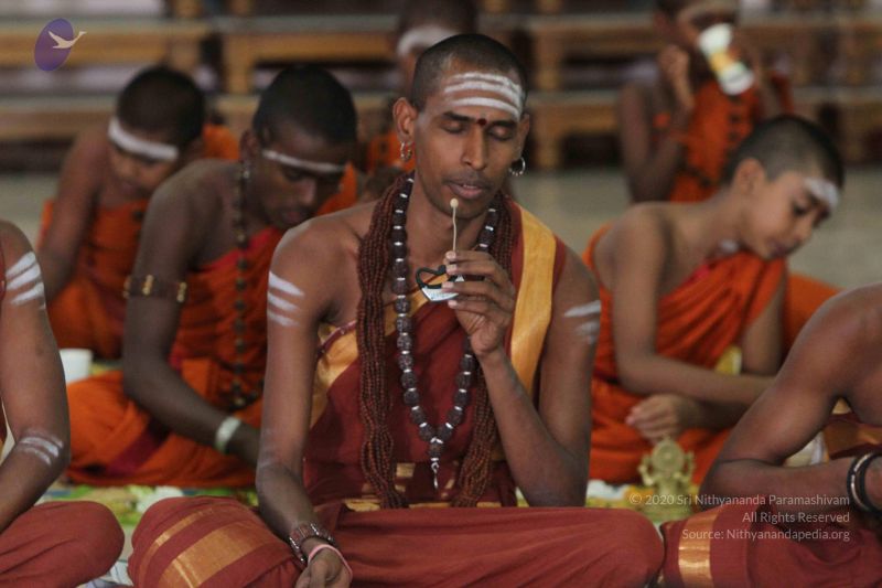 File:20140913 Photo 1249 12vknkDyrRmMyUTP4xqkU-tv5WzCWS4CR.JPG