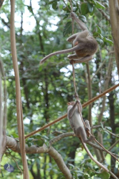 File:20140914 Photo 1030 1ChvJ2lIPp zIRDcG-ZEww4HxilkqSm0a.JPG