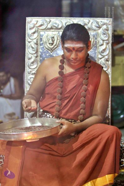 File:20140914 Photo 1039 1e8guyaWkCEW296JMpp6mOH0moIoPCsq7.JPG