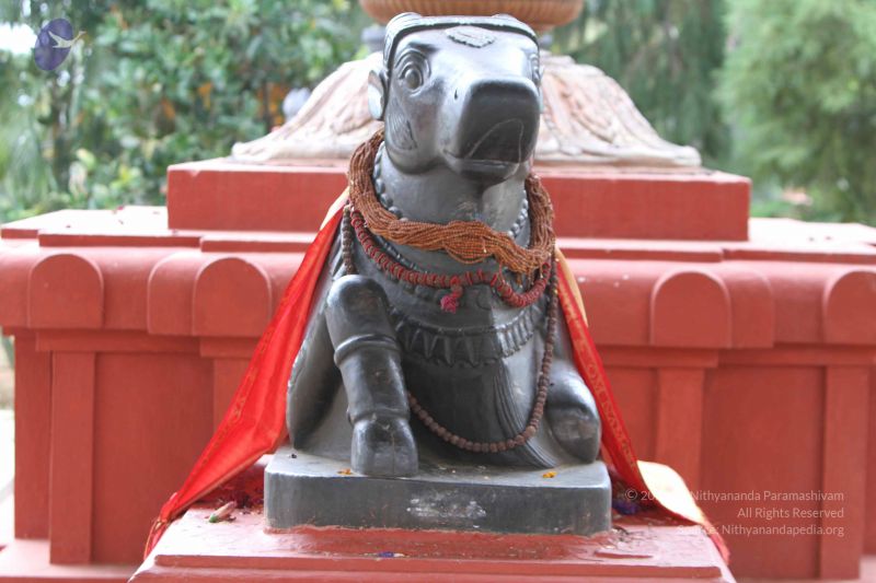 File:20140914 Photo 1083 1Ah9U6o0iExI9XqcE8kZh7Mdn5fV1IaKW.JPG