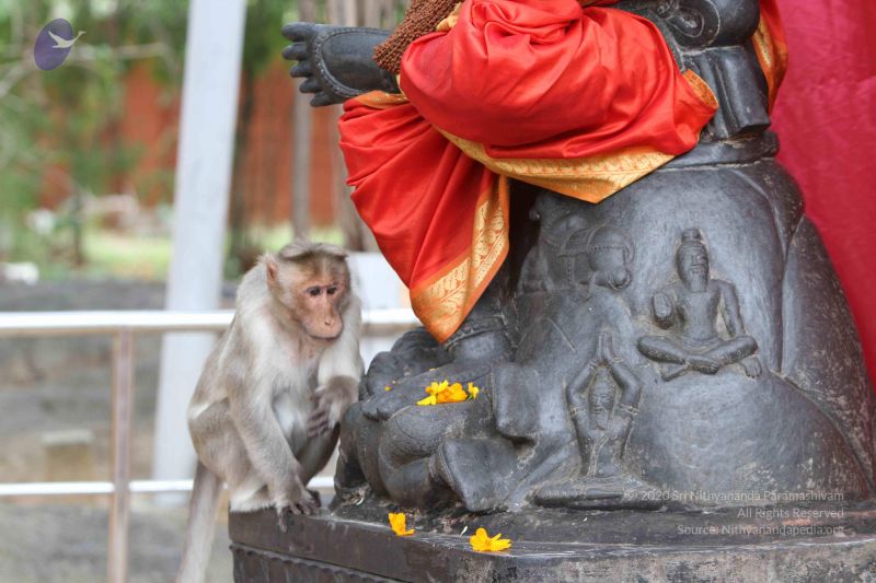 File:20140914 Photo 1096 1kX5PtvwDp0UCqUYa7y9WIoaAQnPu1Kan.JPG