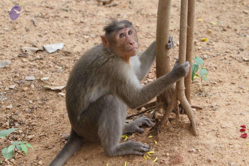 File:20140914 Photo 1099 1eC-DfwuUdIcoaKsZs6z9YiEhg-s9lVoV.JPG