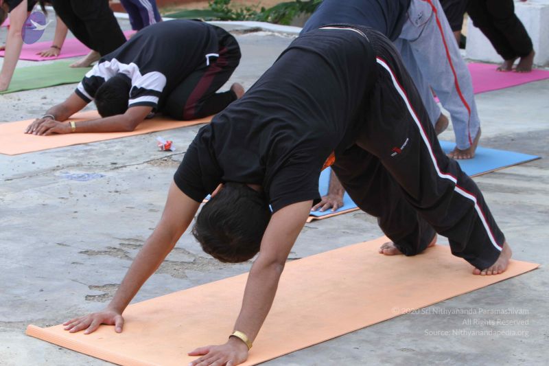 File:20140914 Photo 1103 1hCejP Jwx5pUxOns-hsHqzIEHtWRimEN.JPG