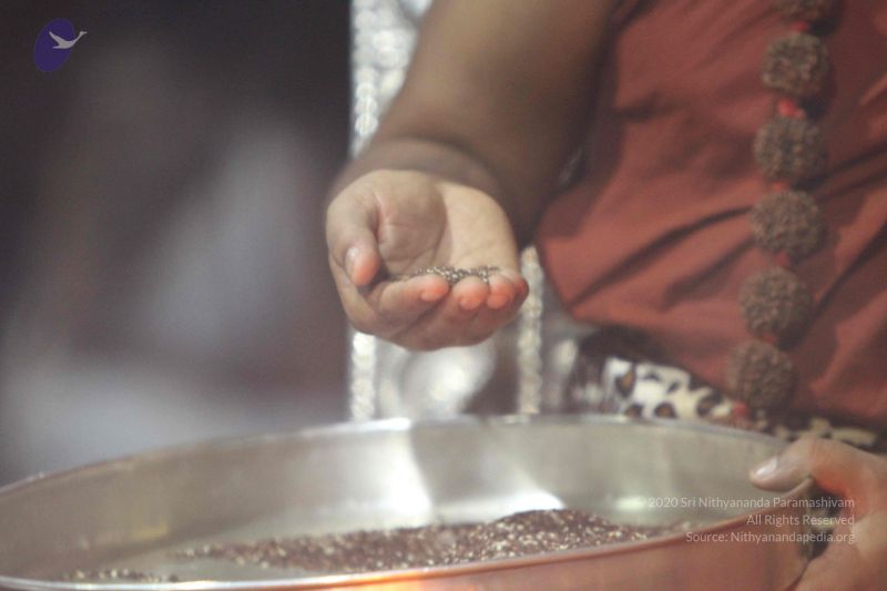 File:20140914 Photo 1213 1RPjdodOweHtOrHQY7rfLwOpNRuEr2UJC.JPG