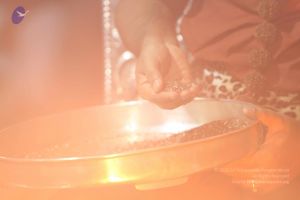 20140914 Photo 1221 1pUyGNS n4389I-EedSzrW6J baXsUWES.JPG