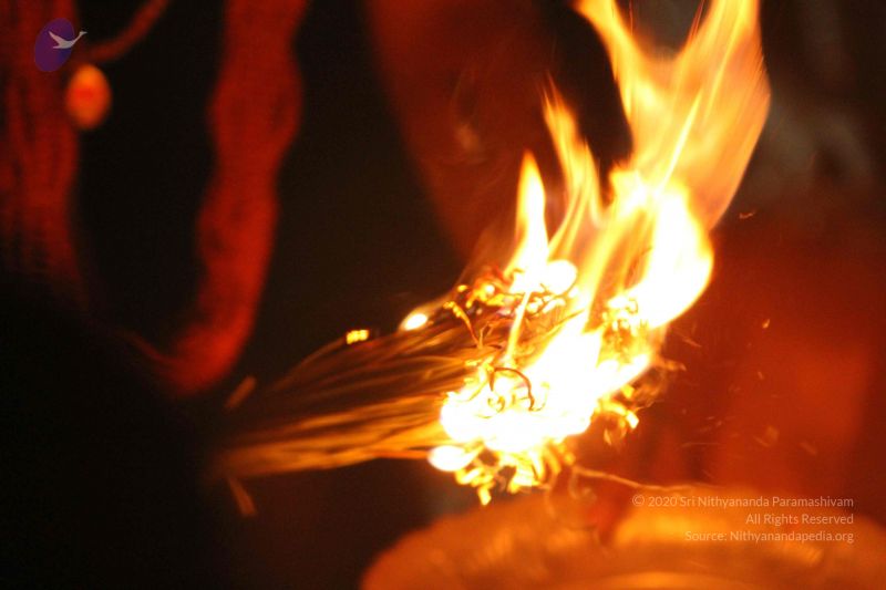 File:20140914 Photo 1260 1baSVZbvTyWESh39FF5QBvmDvMWOP1tvR.JPG