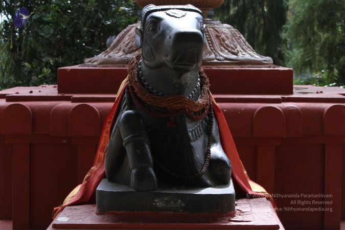 20140915 Photo 1075 1W6dYZjcf0vT1Pep2EkWX1DIMhe7hfCrP.JPG