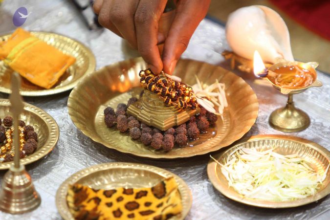 20140916 Photo 1008 1M 35Cy82-VxLz9kzBQsP6YFwKvWoSXsq.JPG