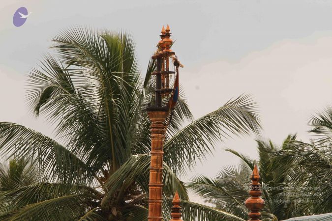 20140916 Photo 1052 1IpjQUgdZU2AcNLynwXZNAZfkrWbas-Yc.JPG