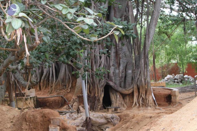 20140918 Photo 1049 16m212siJhefggCIuerbNWiq0a1FKgqLl.JPG