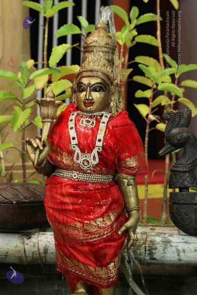 File:20140920 7693 CMP WM.jpg