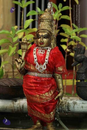 20140920 NDY ENG 7692 CMP WM.jpg