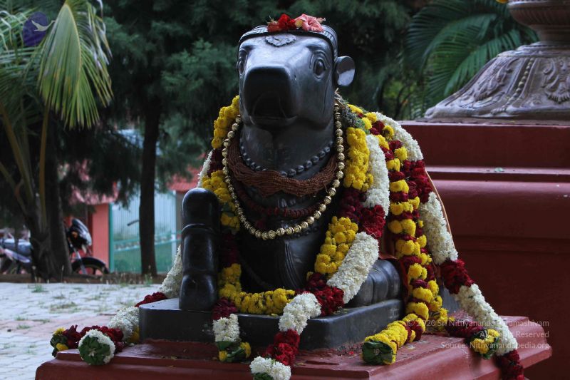 File:20140921 Photo 1003 1AavbP5AfSYJm44vhnj92xTr3A5glj3if.JPG