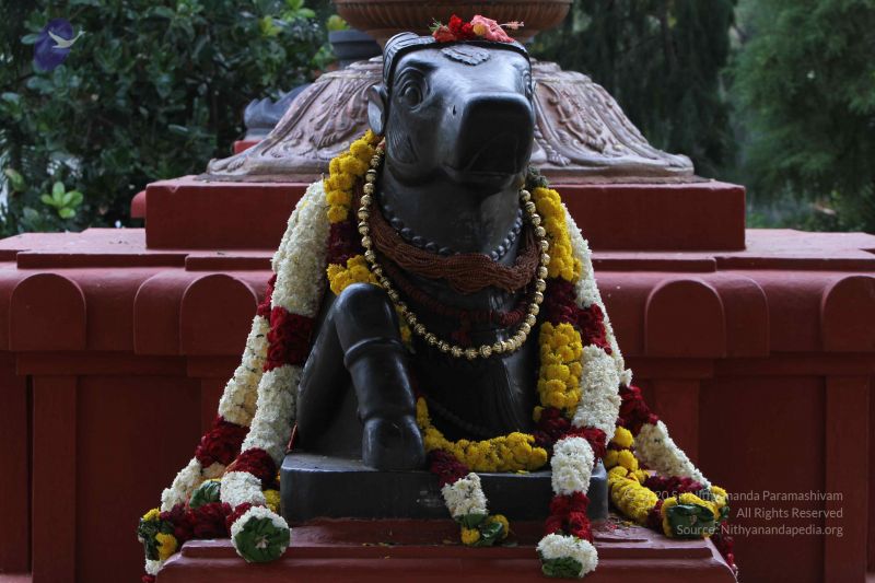 File:20140921 Photo 1004 1pQkpn8ObjJQCh0MIEd lvizcMk9lM1ZX.JPG