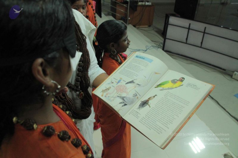 File:20140921 Photo 1037 1Hu3s8c-ZOWL3 6Q1kRpv284M K9e01GU.JPG