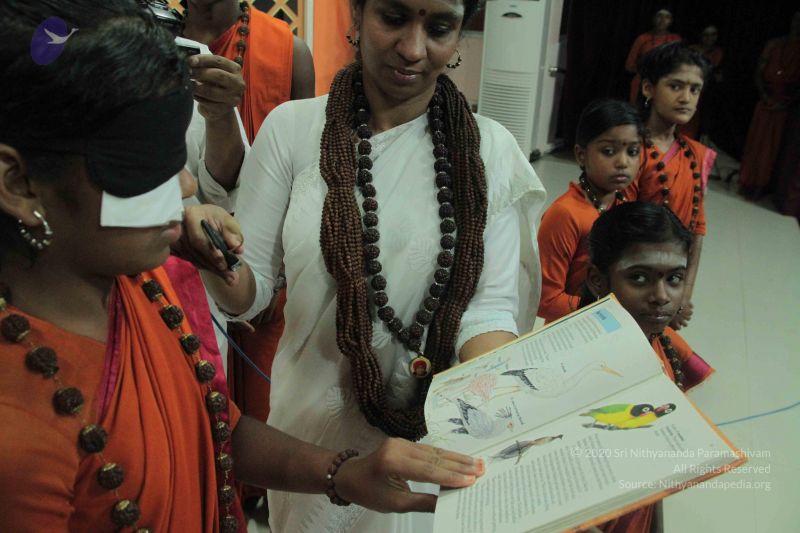 File:20140921 Photo 1039 1-PEms7TIbJoLgyVZ00BaUqmMtpciSETT.JPG