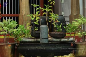 20140921 Photo 1168 1Ysq t4C-SF6F4ZdcLwfxPoeTGIFVSVTx.JPG