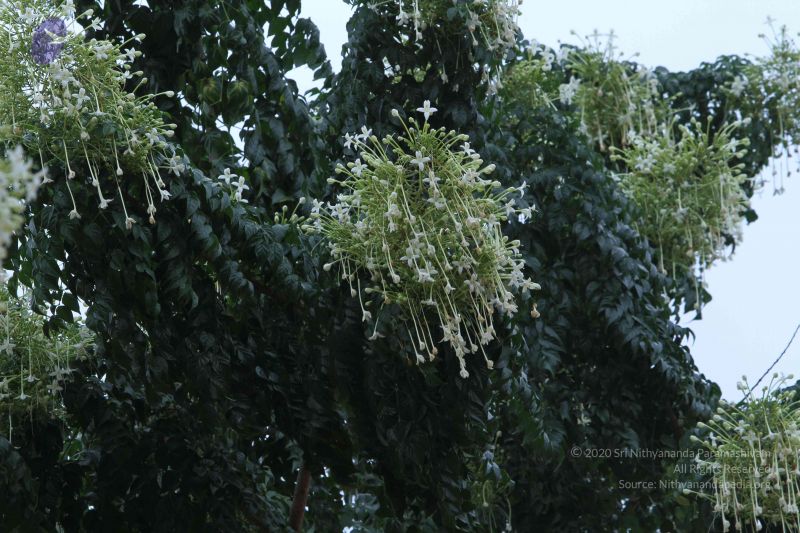 File:20140921 Photo 1211 1sbuRdo dCAIKUY37U1 pALH9n-B AVlH.JPG