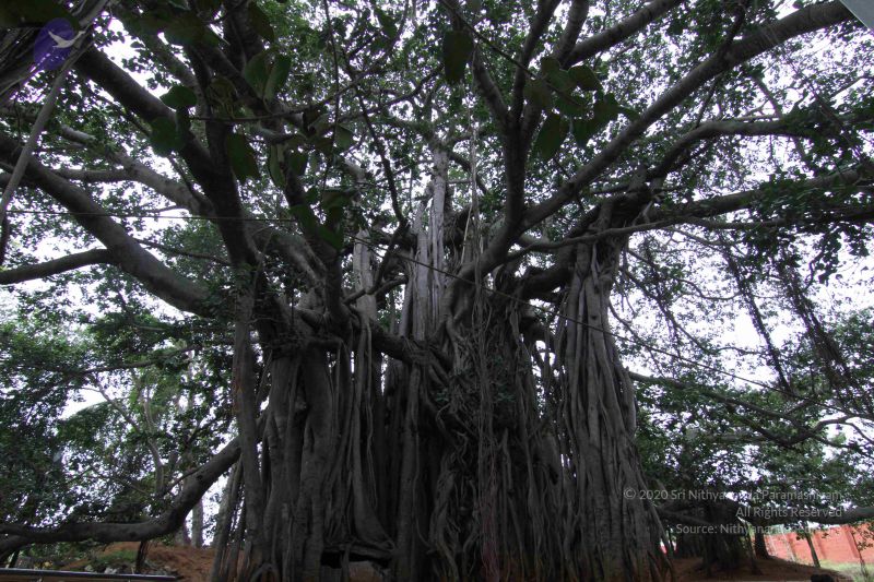 File:20140922 Photo 1101 1SJeJzoPiBhnwo0FSSW4GbFeFAoMYi0kA.JPG