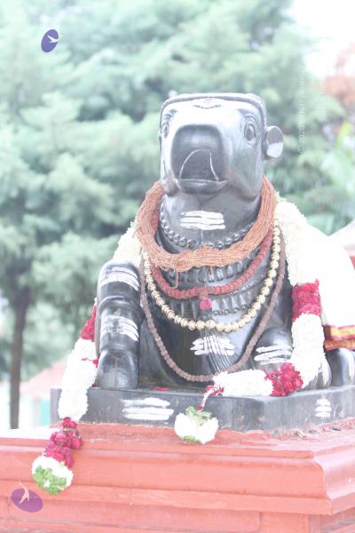 File:20140922 morepics 8423 CMP WM.jpg